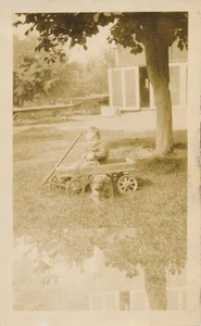 Snapshot Vintage Photo Baby Toy Wagon Wagser Coaster Cute Dog Puppy Pet Animal - Picture 1 of 7