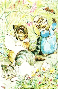 (142650) Beatrix Potter The Tale of Tom Kitten Postcard (E) - Picture 1 of 1