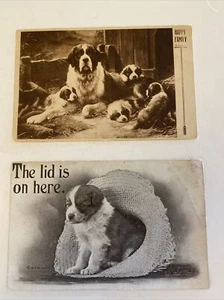 2 Postcards 1912 & 1909 Dogs St Bernard Puppy Vtg Lot - Picture 1 of 6