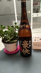 Sake japonés 1.8L Takara Shuzo Alc.15% Sho Chiku Bai "Gokai" japanese Japanische - Imagen 1 de 2