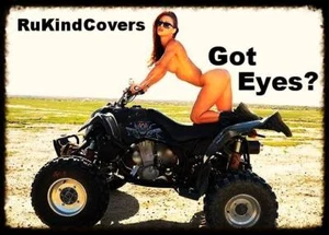Raptor Yamaha 660 BLUE Eyes HeadLight Covers ALL YEARS - Picture 1 of 7