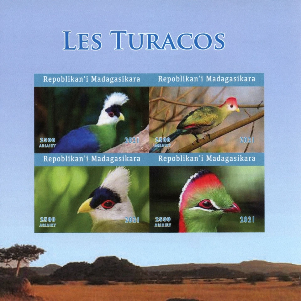 Madagascar Birds on Stamps 2021 MNH Turacos Turaco 4v IMPF M/S - Image 1 of 1