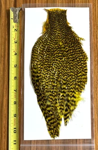 Grizzly dyed Yellow Rooster Cape, Neck, Fly Tying, NR - Picture 1 of 1