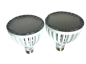 2 pcs ROHS PAR30 LED BULB - Picture 1 of 7
