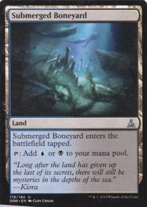 Submerge Boneyard Oath of the Gatewatch Land Magic the Gathering MTG x1 - Picture 1 of 2