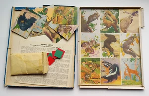 Lotería de animales vintage de los años 50 hecha en EE. UU. 6 tarjetas de bingo con tarjetas de animal/marcador - Imagen 1 de 3