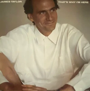 JAMES TAYLOR THAT'S WHY I'M HERE 1988 CBS ORIGINAL PROMO POSTER 23" X 23" ROLLED - Picture 1 of 1