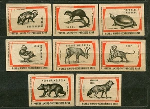 1963, FAUNA ANIMALS OF FAR EAST OF THE UDSSR, SET OF 8 RUSSIAN MATCHBOX LABELS - Bild 1 von 1