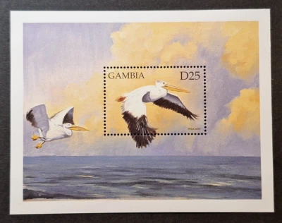 Gambia: 1999 Pelicans, unmounted mint 25d miniature sheet - image 1 of 2