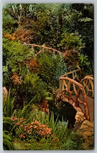 Postcard Rustic Bridge in Schilling's Gardens Oakland, California G6 - Picture 1 of 2