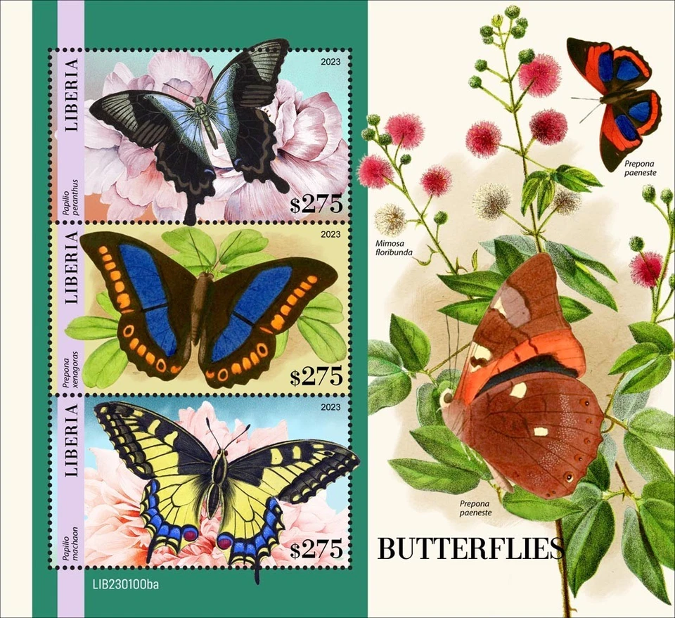 Selos de borboletas, sem marca de charneira 2023 da Libéria M/S - Imagem 1 de 1