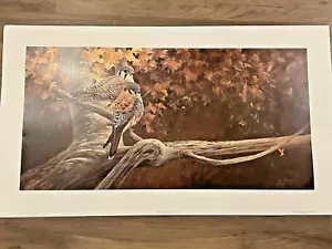 Morten E. Solberg "Serene Setting" Limited Print - Kestrel 687/1250 - Picture 1 of 6