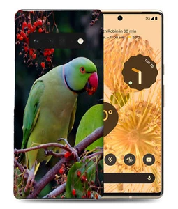 CASE COVER FOR GOOGLE PIXEL|CUTE GREEN PARROT BIRD - Picture 1 of 11