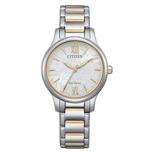 Citizen EcoDrive Watch EM089573A Water Resistance Bracelet Band - Multicolour - Picture 1 of 3