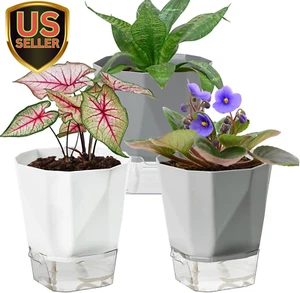 3 Pack Self Watering Planter Pots, 4.9 Inch African Violet Pots for Indoor Ou... - Picture 1 of 8