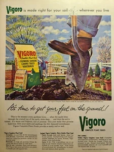 Anuncio impreso vintage Vigoro completo alimentos vegetales jardinería flores pie sobre pala - Imagen 1 de 6