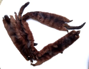 VINTAGE 40's/50's GENUINE MINK 4 PELT 50" STOLE SCARF WRAP - Picture 1 of 9