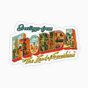 florida greetings from sunshine state Sticker laptop/ tumbler / wall sticker - Picture 1 of 1