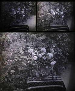 Photographie AUTOCHROME STEREOSCOPIQUE vers 1900- 1920   / 29 - Imagen 1 de 1