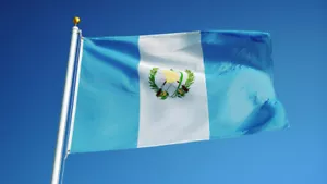 NUEVO GUATEMALA 2x3ft BANDERA calidad superior decoloración resistencia vendedor de estados unidos - Imagen 1 de 4