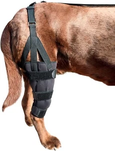 Labra Dog Canine K9 Knee Stifle Brace Wrap Metal Splint Hinged Flexible Support - Picture 1 of 5