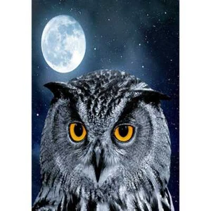 Small Garden Flag Moon Bird Patio Banner Outdoor Poster 12x18in - Picture 1 of 5