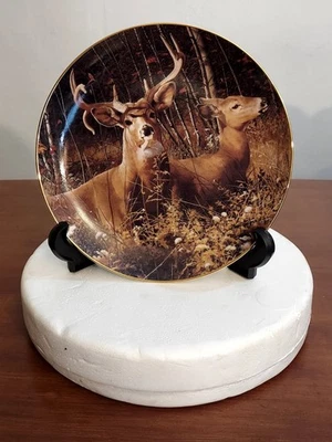 Danbury Mint FALL RETREAT Pride of the Wilderness DEER PLATE Bob Travers MIB - Image 1 of 3