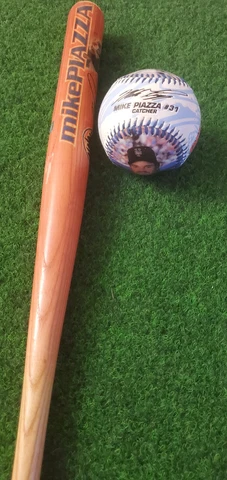Mike Piazza Mini 18" Bat & Ball Cover