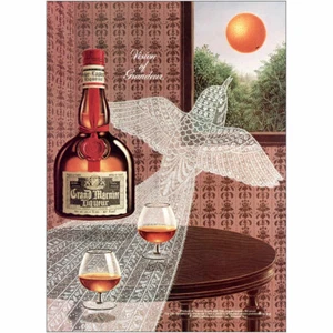 1988 Grand Marnier: Vision of Grandeur Dove Vintage Print Ad - Picture 1 of 1
