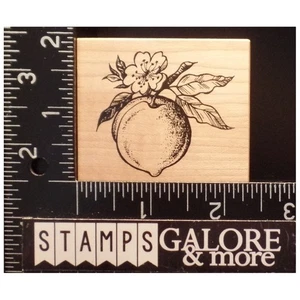 PSX Stempel E-1631 BOTANISCHE FRÜCHTE PFIRSICH STIEL BLÄTTER BLÜTE #T15 - Bild 1 von 3