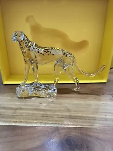 Elegance of Africa SCS Annual Edition 2023 Cheeta Mehira - Picture 1 of 5
