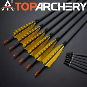 Archery Hunting 33" Carbon Arrows Turkey Feather for Compound Recurve Bow Target - Picture 1 of 24