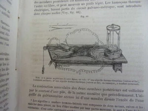 Medecine. TRAITÉ ÉLÉMENTAIRE DE PHYSIOLOGIE HUMAINE. J. Béclard 1862 - Picture 1 of 11