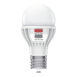 RAB 24W High Output A23 LED Lamp 120-277V Power/Color Select Mogul Base - Picture 1 of 3