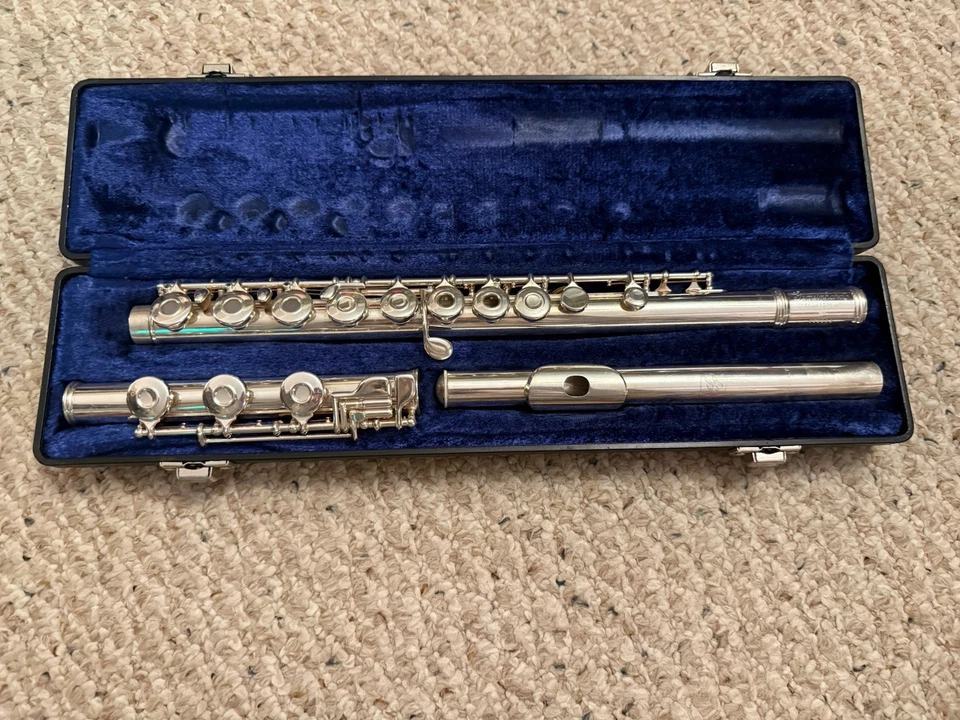 Estuche rígido y acolchado Kommunhardt Open Hole 3SB plateado bajo B almohadillas nuevas como nuevo Foto 1 de 4