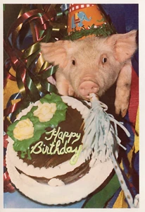 Cute Happy Birthday PIGLET Birthday card ©1980 George Dudley & Bill's Pig Parlor - Picture 1 of 3