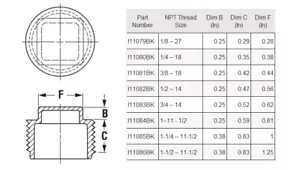 1" NPT Cabeza Cuadrada Tubo Enchufe HDPE Polietileno NEGRO Sujetador I11084BK - Imagen 1 de 3