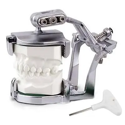 CE Dental Adjustable Magnetic Articulator FDA Full Mouth Teeth Model • 15.23£