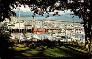 POSTCARD FORT BASIN ILWACO WASHINGTON - Picture 1 of 2
