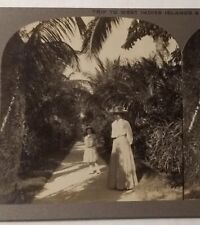 Private Photo Stereoview Card Caribbean Nassau Island Garden Hat Woman Vtg 1911