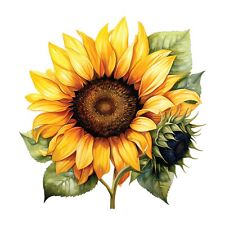 Autoaufkleber Sticker Sonnenblumen Aufkleber