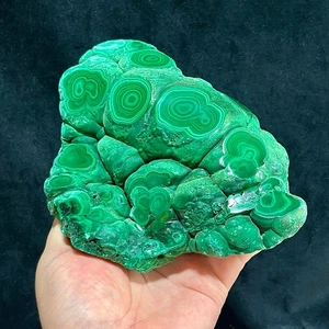 Natürliche Malachit Mineral Proben - einseitig poliert Display - 3,7 Pfund - Bild 1 von 16