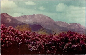 Postal de Pikes Peak in Springtime Colorado - Imagen 1 de 1