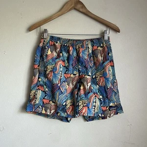 Pantalones Cortos Patagonia Baggies Talla Pequeña Para Hombre Colorido Verano Forrado Natación - Imagen 1 de 6