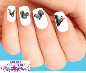 Calcomanías de uñas tobogán acuático - juego de 20 ardillas surtidas - Imagen 1 de 1