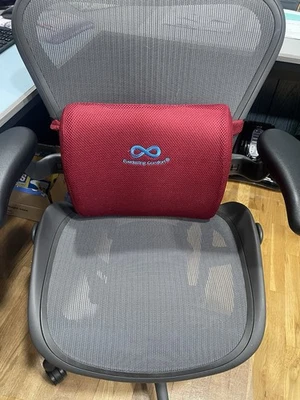 Almofada de apoio lombar Everlasting Comfort para cadeira de mesa  - Imagem 1 de 2