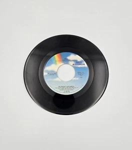 Rupert Holmes Vtg 45 Vinyl Him & Get Outta Yourself MCA Records, MCA-41173 - Foto 1 di 4