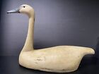 Large Carved Whistling Swan Duck Decoy by Ken Kirby, Signed, 2008, Swivel Neck