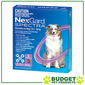 NexGard Spectra Chewables For Dogs Purple 15.1-30kg 6 Pack