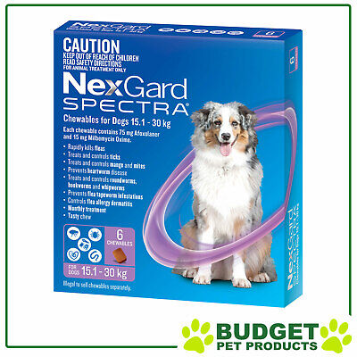 NexGard Spectra Chewables For Dogs Purple 15.1-30kg 6 Pack • 99.79$